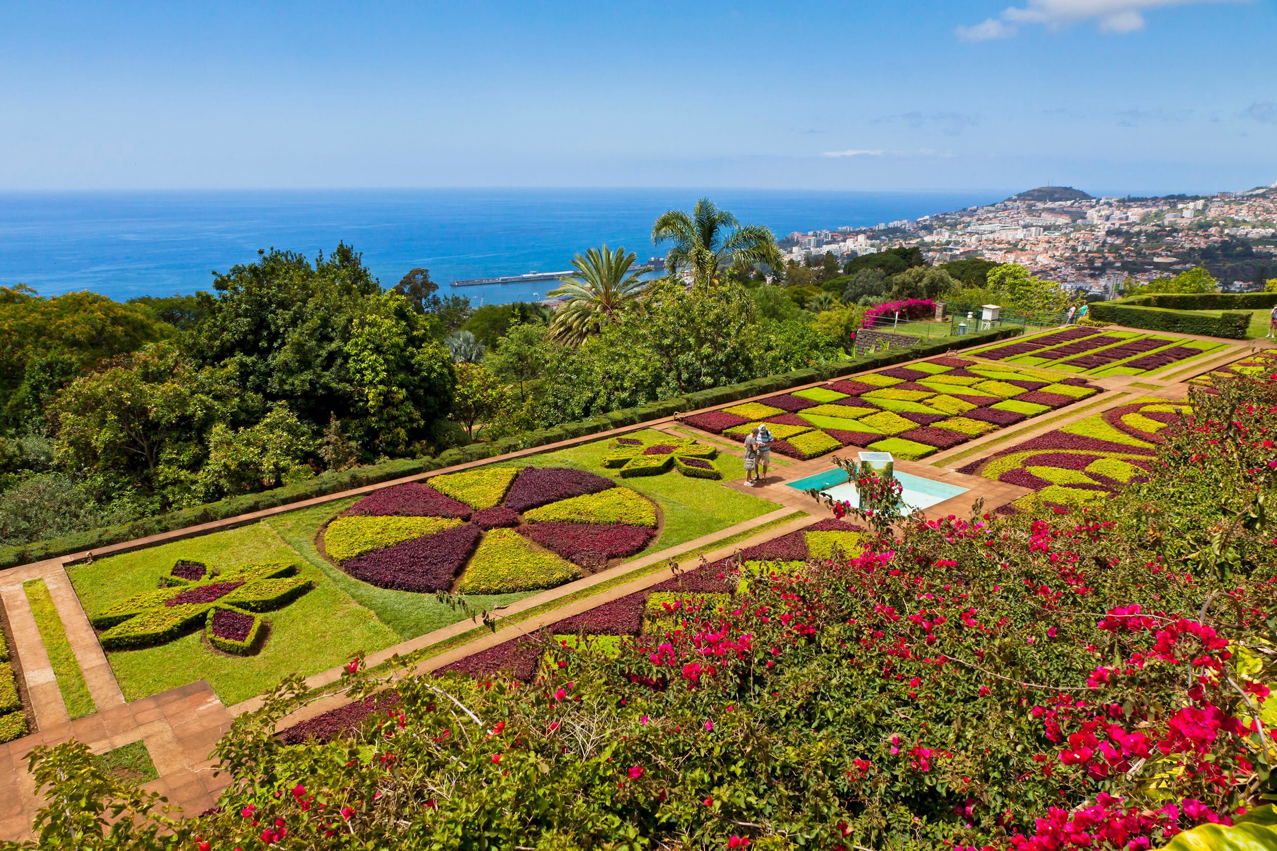 Vakantie tips Madeira | De mooiste plekjes + waar boeken? 