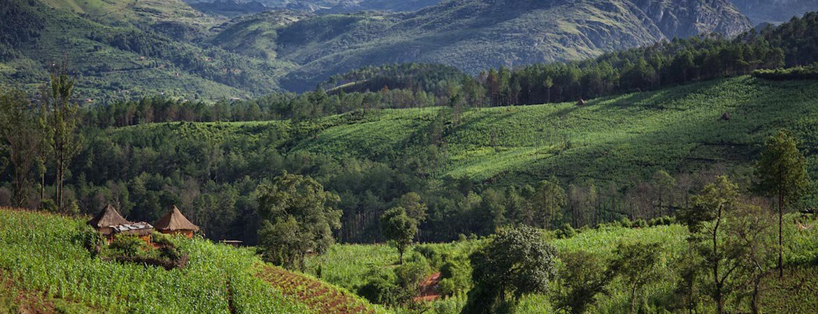 Chimanimani Mountains