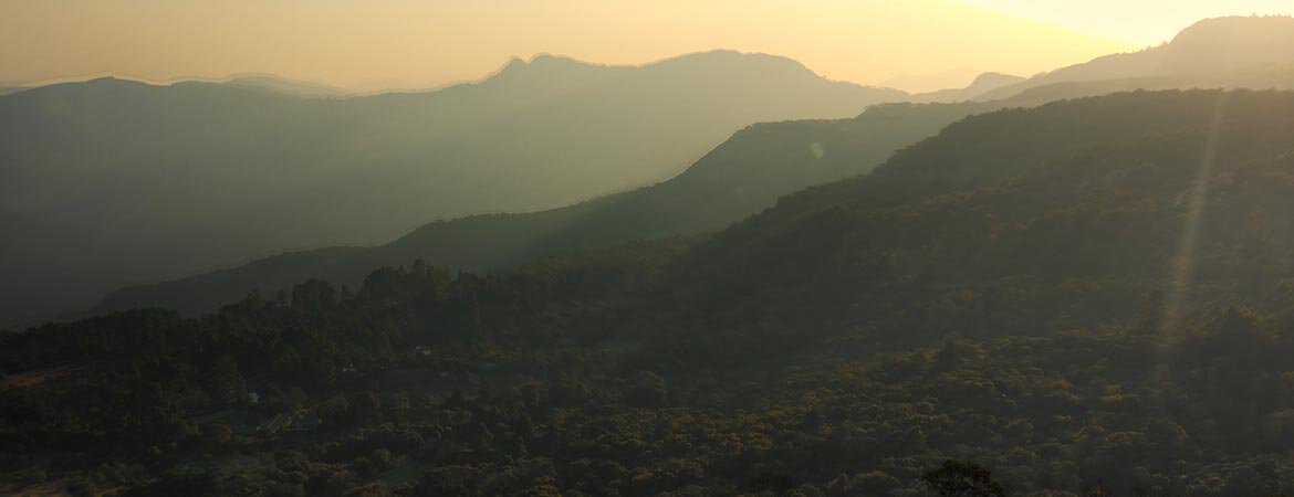 Bvumba Mountains