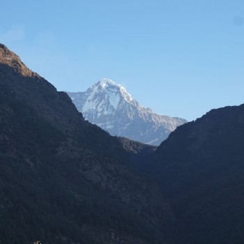 Onderweg over nieuwe paden naar Annapurna Mohare Hill