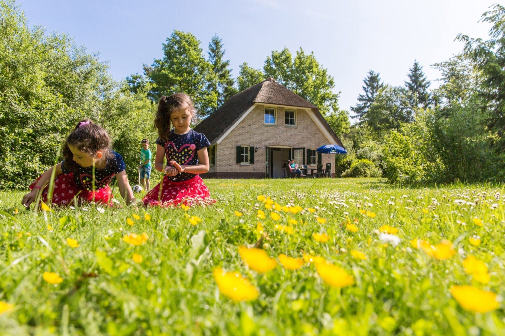 Rustige vakantieparken in de natuur van Nederland