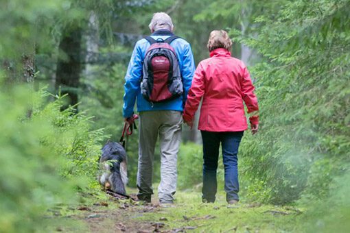 De 5 Mooiste Vakantieparken In Het Zwarte Woud